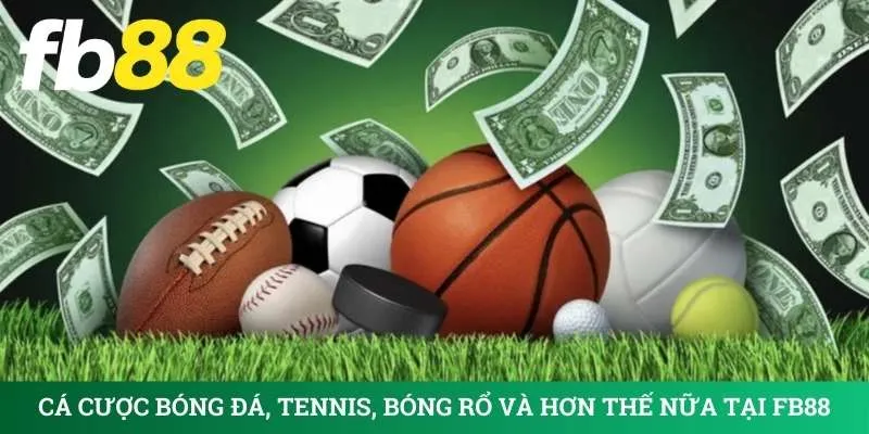 ca-cuoc-bong-da-tennis-bong-ro-va-hon-the-nua-tai-fb88